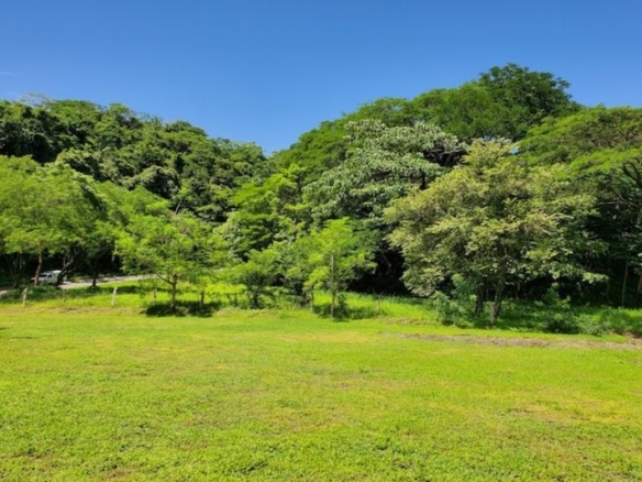 Jungle view from Lote Conacaste for sale at Samara Costa Rica