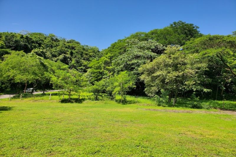 Jungle view from Lote Conacaste for sale at Samara Costa Rica