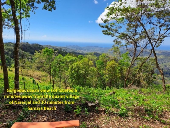 Lote Mirador #2, land for sale at Naranjal, Samara Beach, Guanacaste, Costa Rica