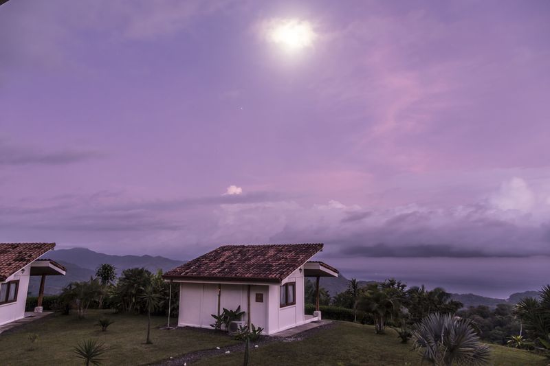 tropical garden at the Peaceful Retreat Hotel for sale at Carillo Beach Costa Rica