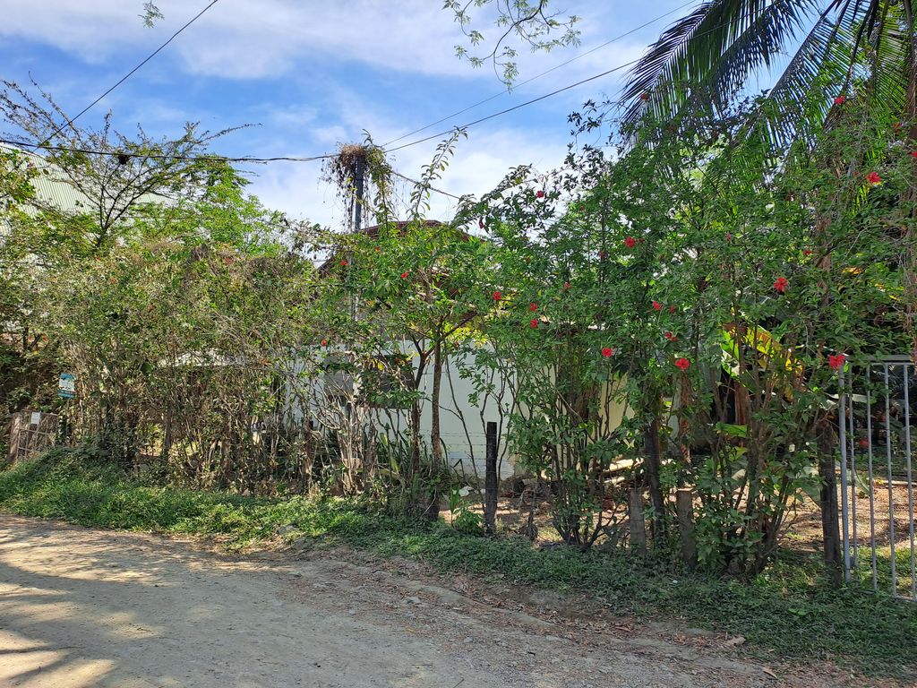 Street View of Casa de la Playa, home for sale at Samara Beach, Guanacaste, Costa Rica