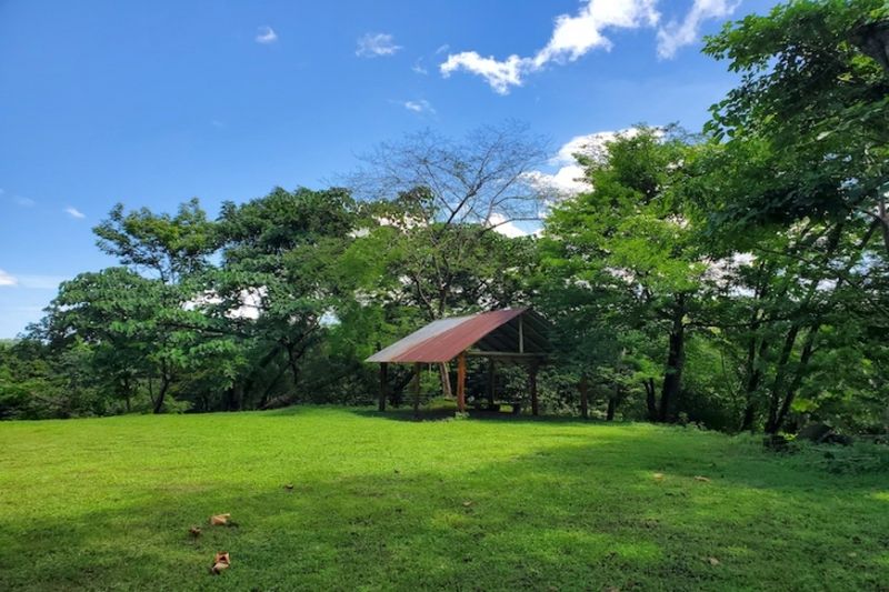 Jungle view from Lote Conacaste for sale at Samara Costa Rica