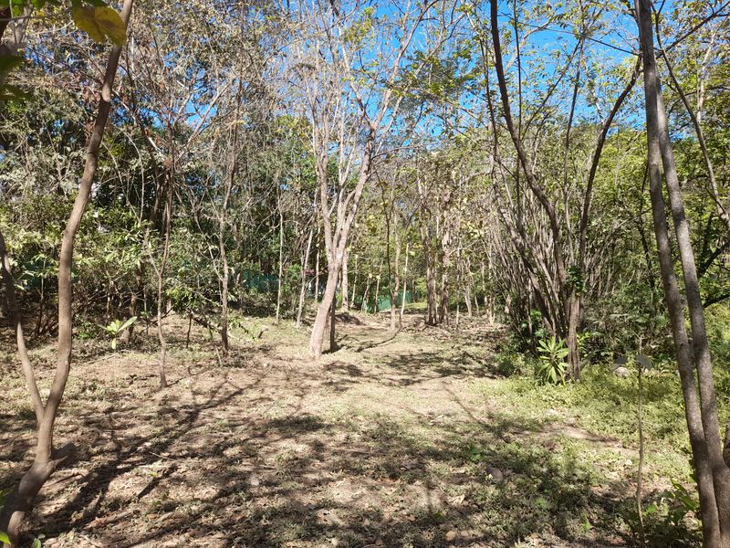 Building platform on Lot Leo 1300, land for sale at Samara Beach, Guanacaste, Costa Rica