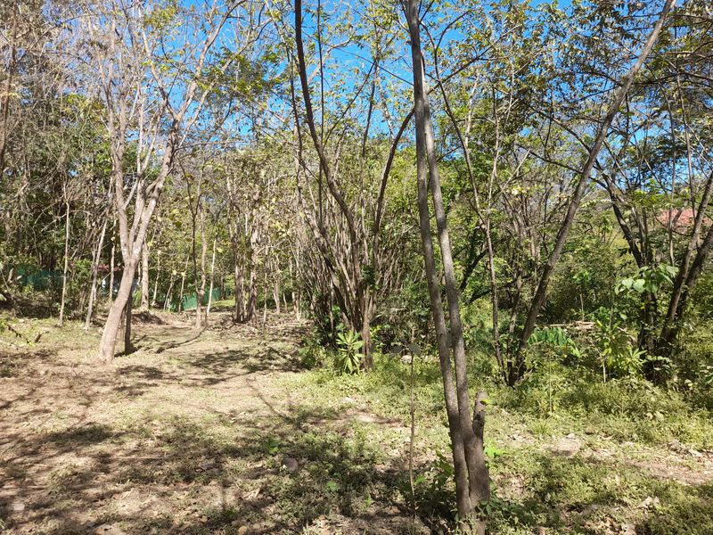 Trail in Lot Leo 1300, land for sale at Samara Beach, Guanacaste, Costa Rica