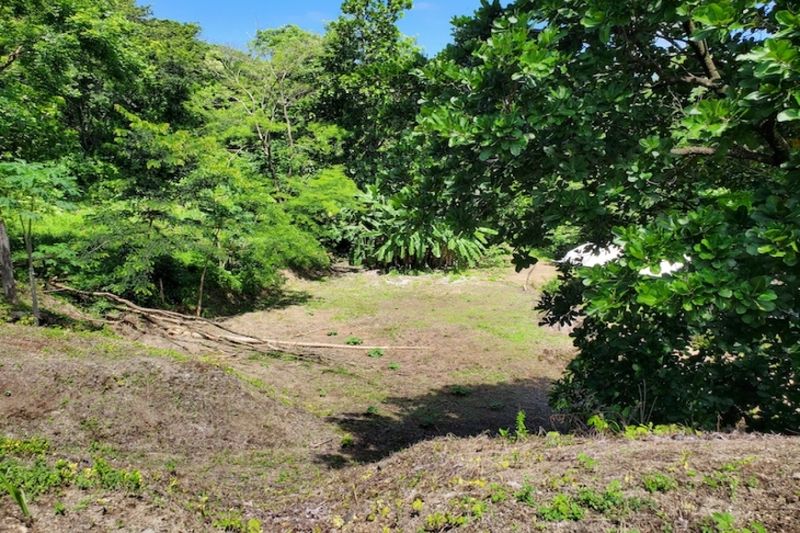 Jungle view from Lote Conacaste for sale at Samara Costa Rica