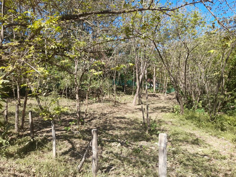 Entrance of Lot Leo 1300, land for sale at Samara Beach, Guanacaste, Costa Rica