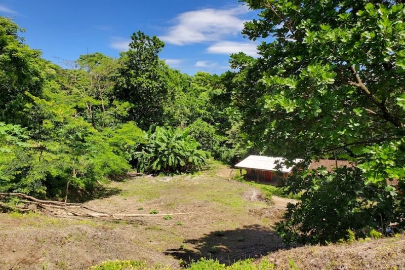 Jungle view from Lote Conacaste for sale at Samara Costa Rica