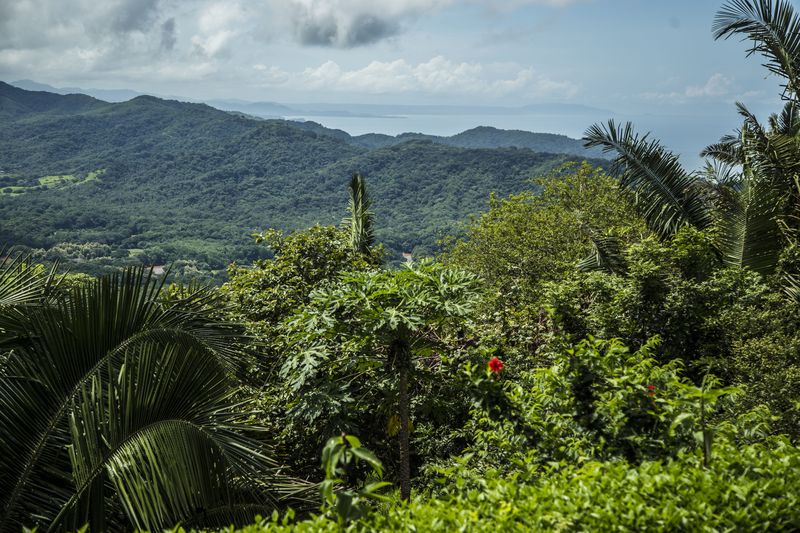 Amazing ocean view at the Peaceful Retreat Hotel for sale at Carillo Beach Costa Rica