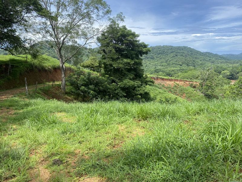 road leading to the paltform of Finca rio el carmen land for sale samara costa rica