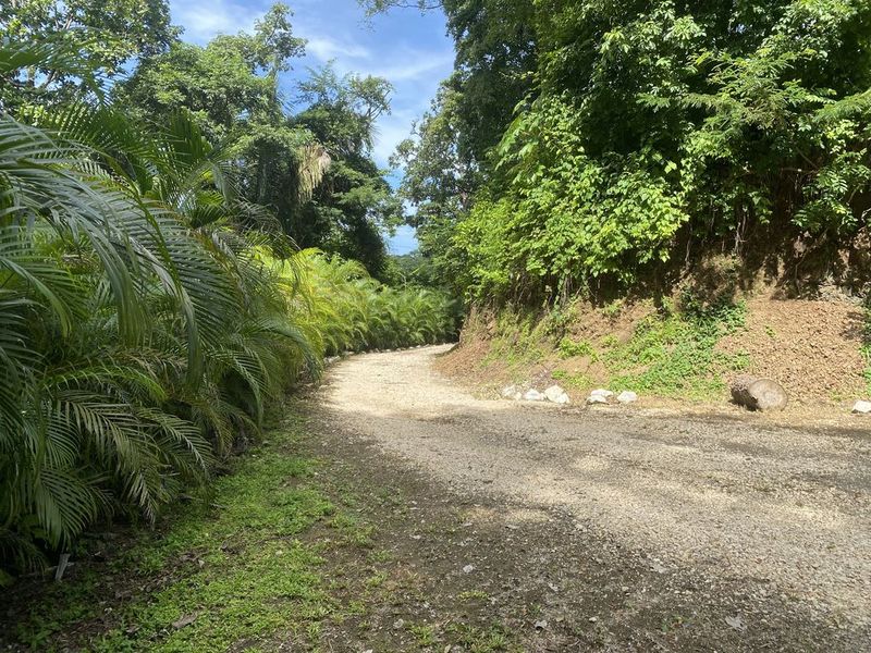 Internal road of the holistic yoga retreat hotel for sale samara guanacaste costa rica