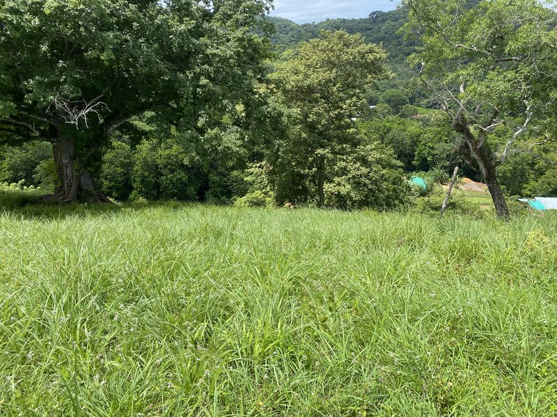 green building site at Lotes Rio El carmen for sale samara costa rica