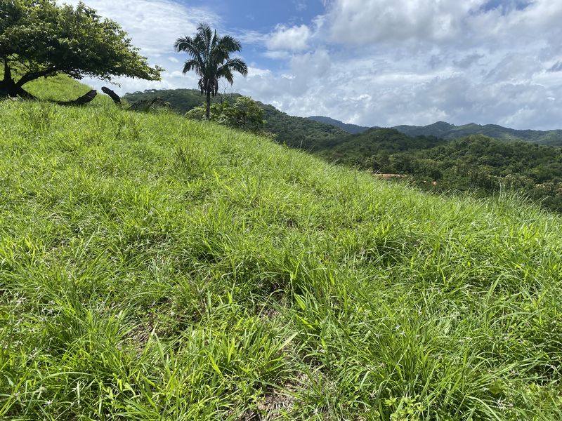 Gentle grassy slope at Lotes Rio El carmen for sale samara costa rica