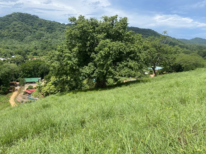 Grass area and mountains at Lotes Rio El carmen for sale samara costa rica