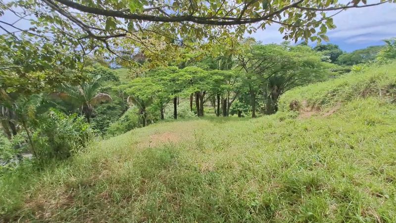 beautiful green areas of Finca Costa Verde land for sale Barco Quebrado Samara costa rica