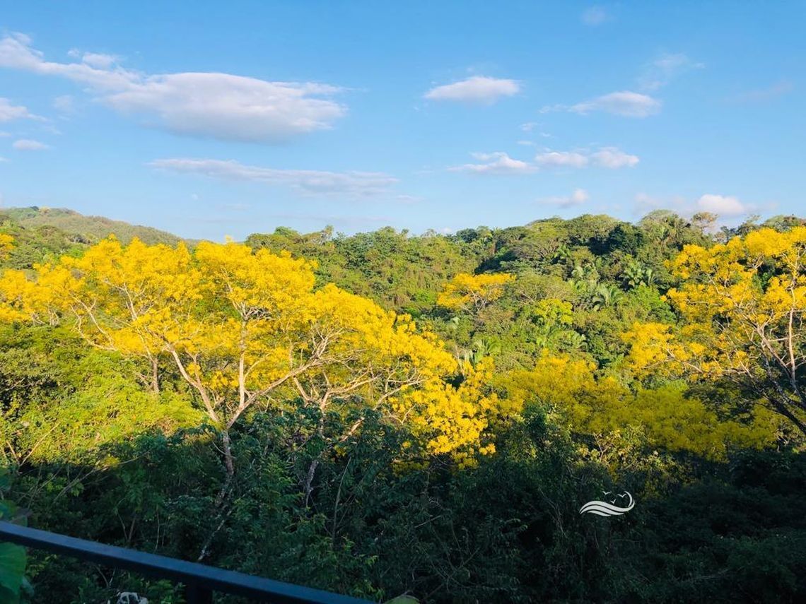 7-home for sale samara Guanacaste Costa Rica